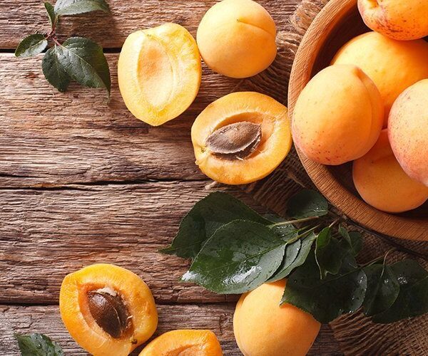 Blenheim Apricot