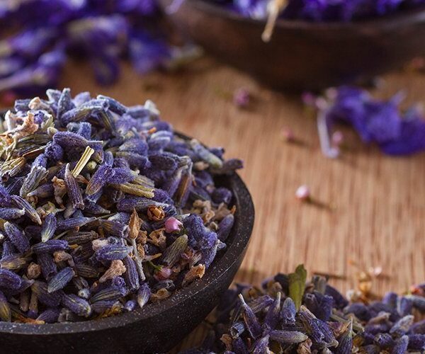 Lavender