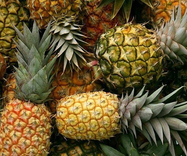 Golden Pineapple